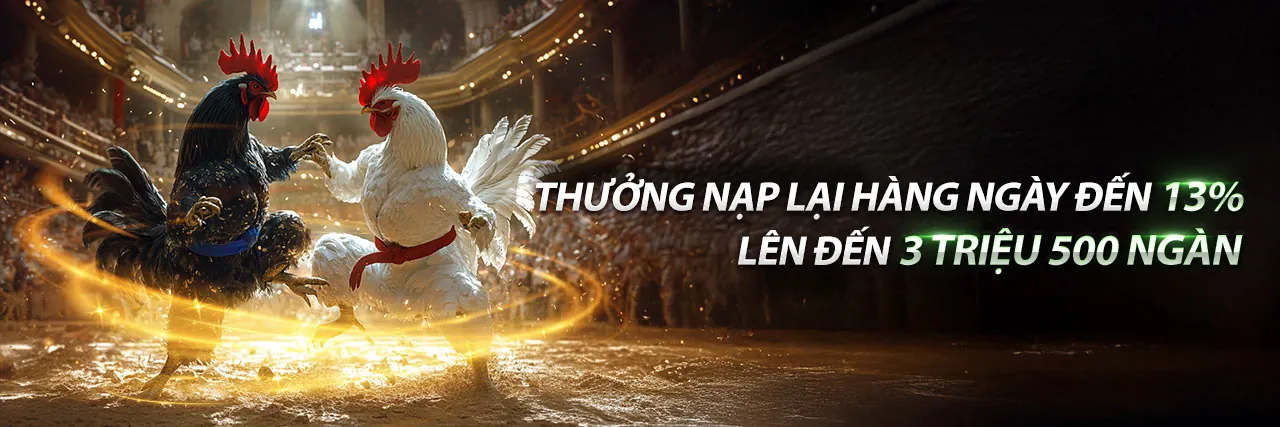 Tổng hợp khuyến mãi Viebet Nhà Cái 2024